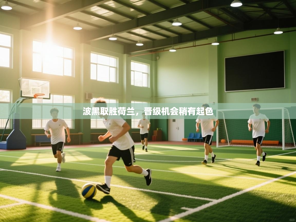 波黑取胜荷兰,晋级机会稍有起色 第1张