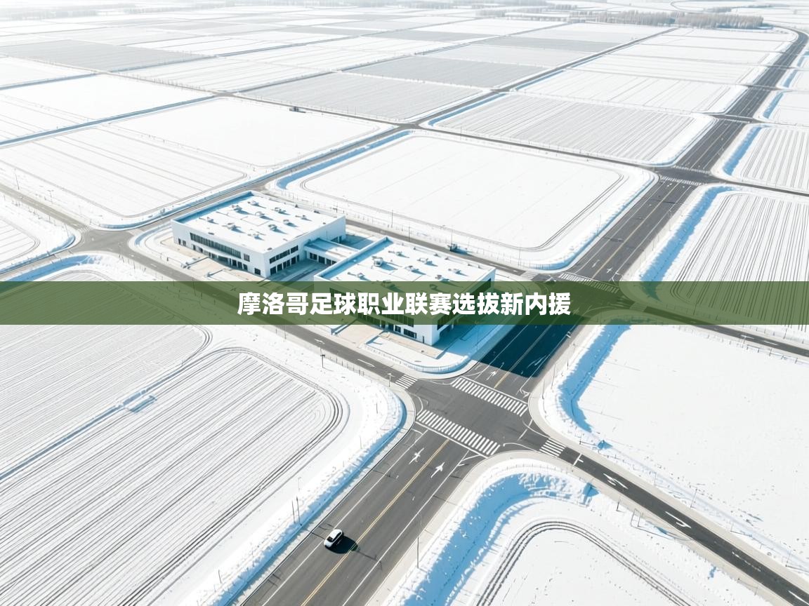 摩洛哥足球职业联赛选拔新内援 第1张