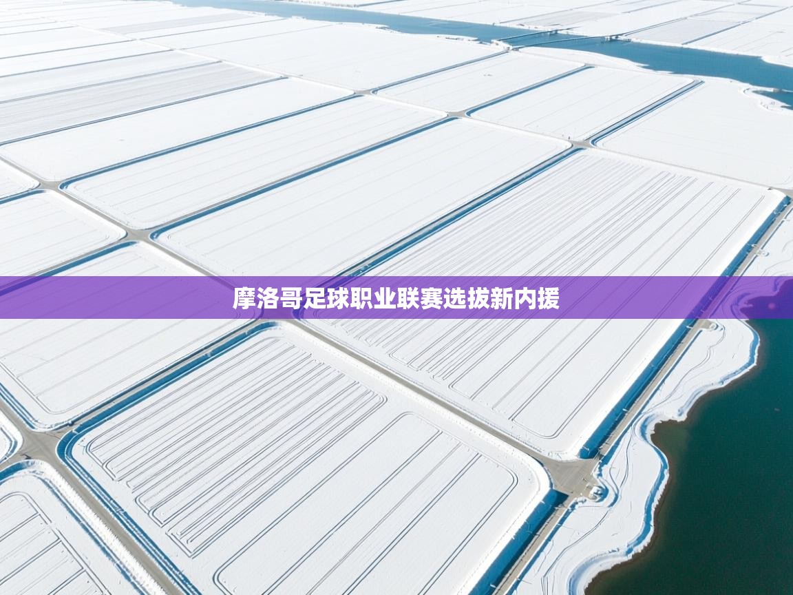 摩洛哥足球职业联赛选拔新内援 第2张