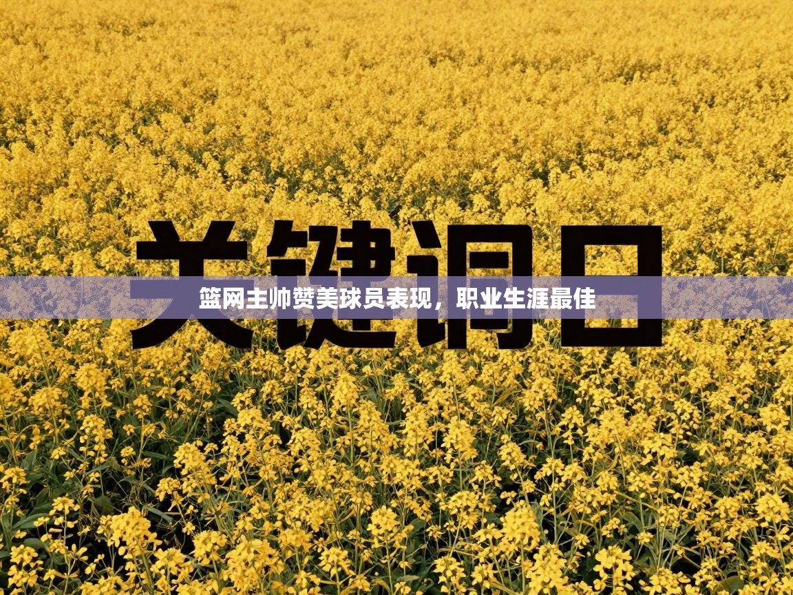 篮网主帅赞美球员表现，职业生涯最佳  第2张