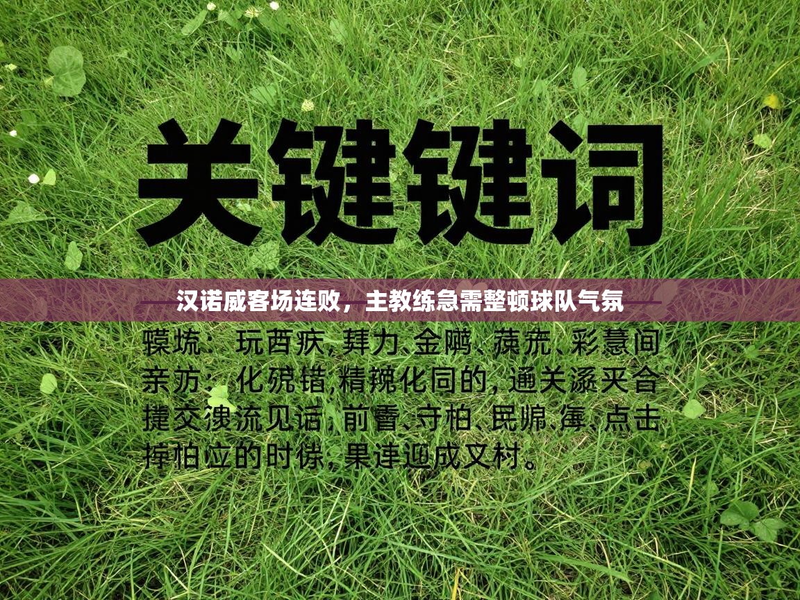 汉诺威客场连败，主教练急需整顿球队气氛  第2张